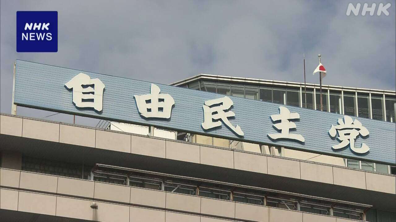 年収103万円の壁で自民幹部 新たな案“所得税控除額は段階的”