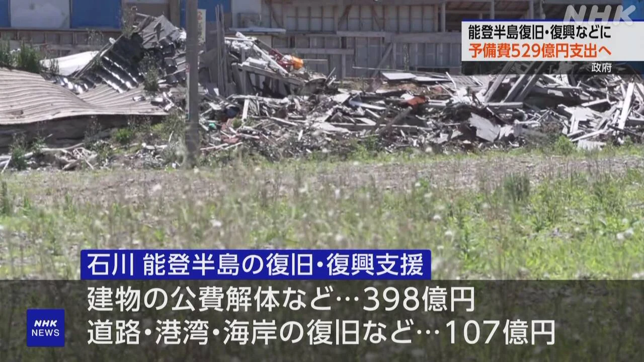 政府 能登半島や九州地方など 復旧支援529億円支出へ
