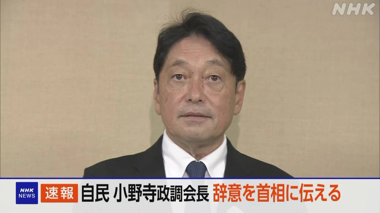 自民 小野寺政務調査会長 石破首相に辞任の意向伝える