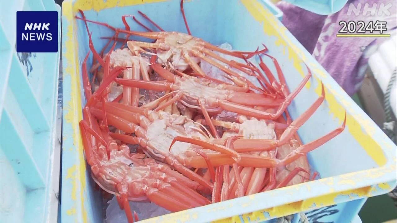 富山 射水市の漁協 ベニズワイガニ漁と初競り 暑さで延期決定