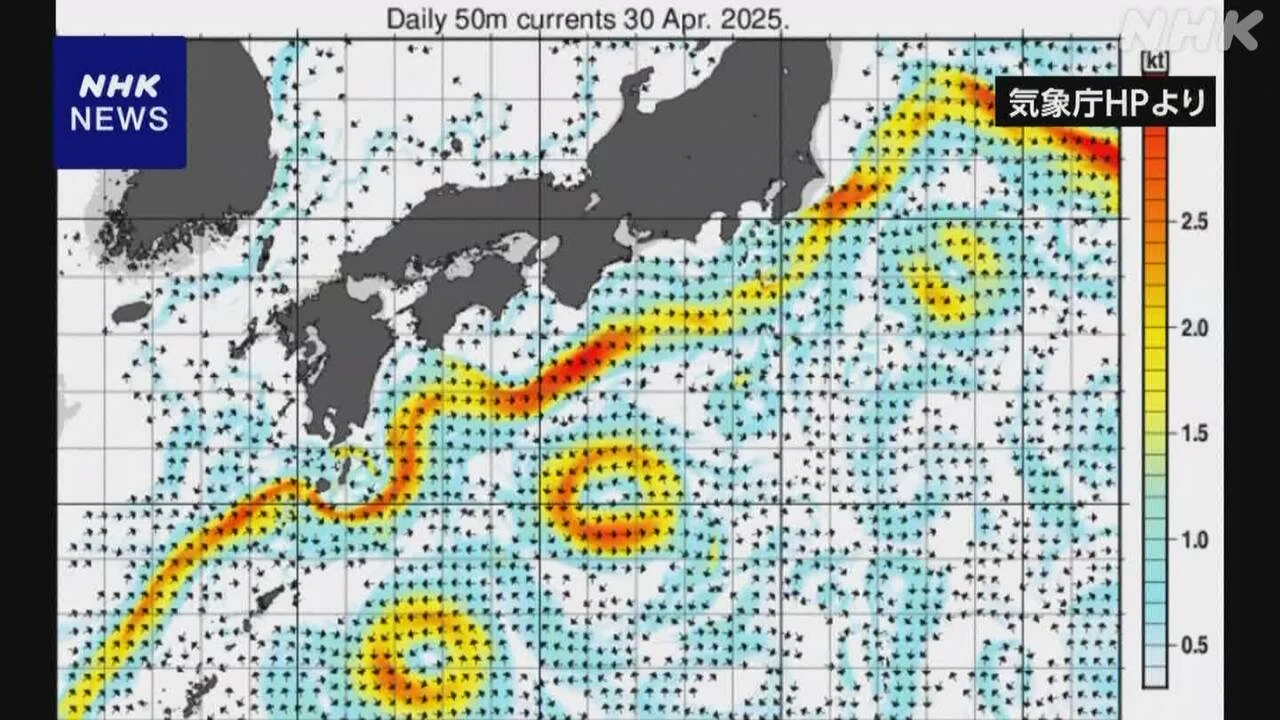 黒潮大蛇行「ことし4月に終息」過去最長7年9か月 気象庁