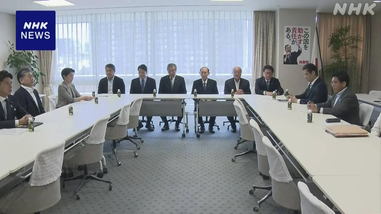 自民 総括委員会 参院選の敗因など意見交換 来週まとめ報告へ
