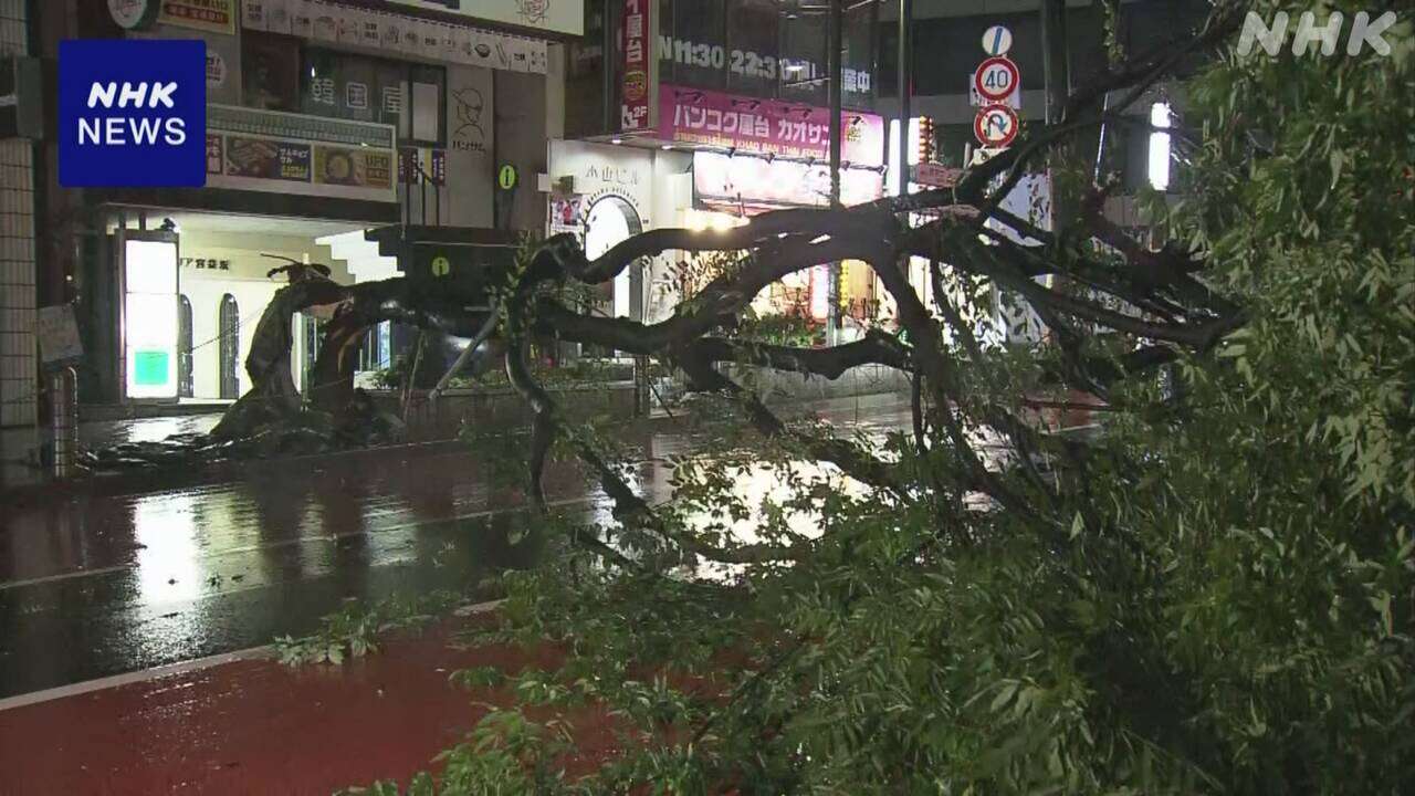 東京 渋谷 宮益坂 木が折れて道路ふさぐ