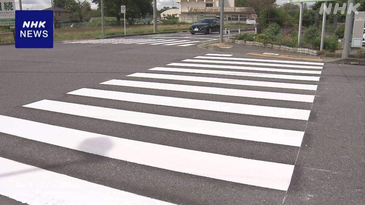 横断歩道の白線 コスト削減などで90cm間隔も“認識しづらく”