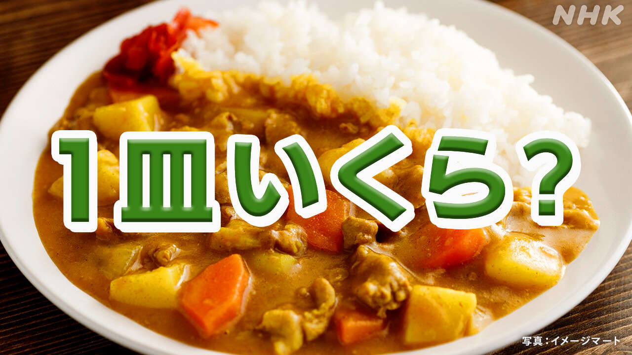 【物価高騰】カレーライス作るのにいくらかかる？