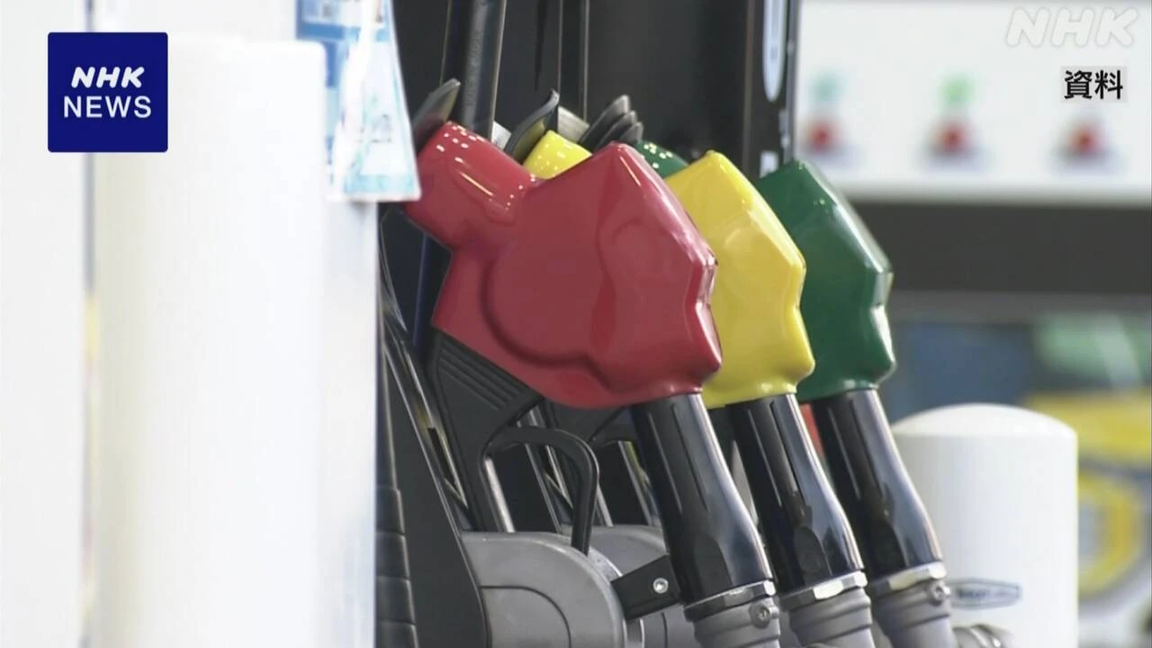 ガソリン税暫定税率廃止法案 専門家 “丁寧な議論と説明必要”