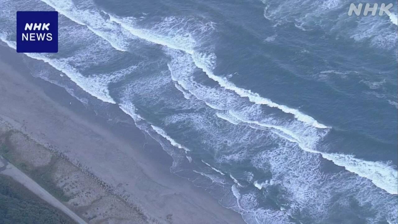 愛知 豊橋 海岸でブラジル国籍の親子溺れる 母親が死亡