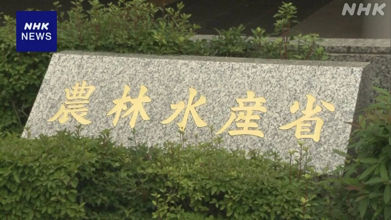 上半期の農林水産物と食品の輸出額 初の8000億円超 過去最高に