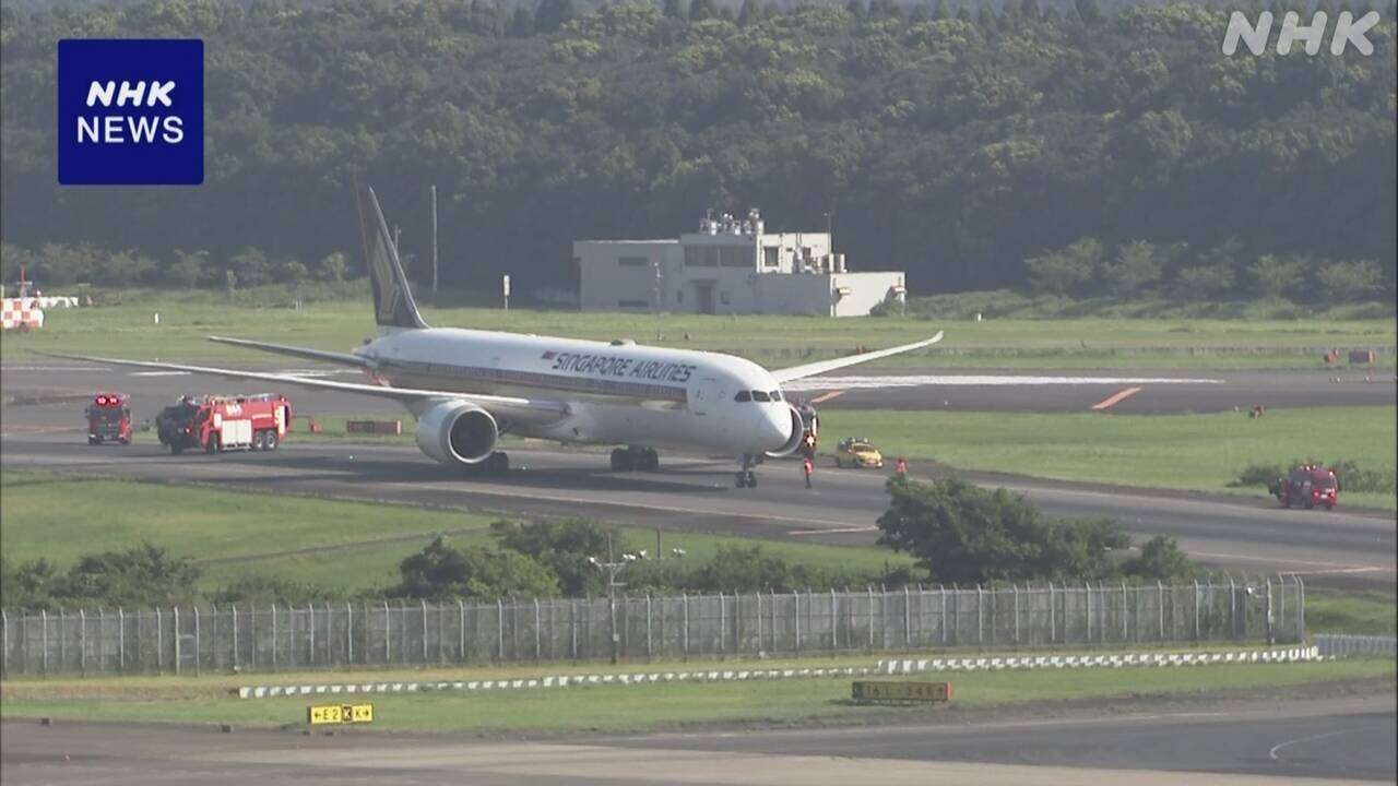 成田空港 着陸機の“エンジンから白煙”通報 B滑走路が閉鎖