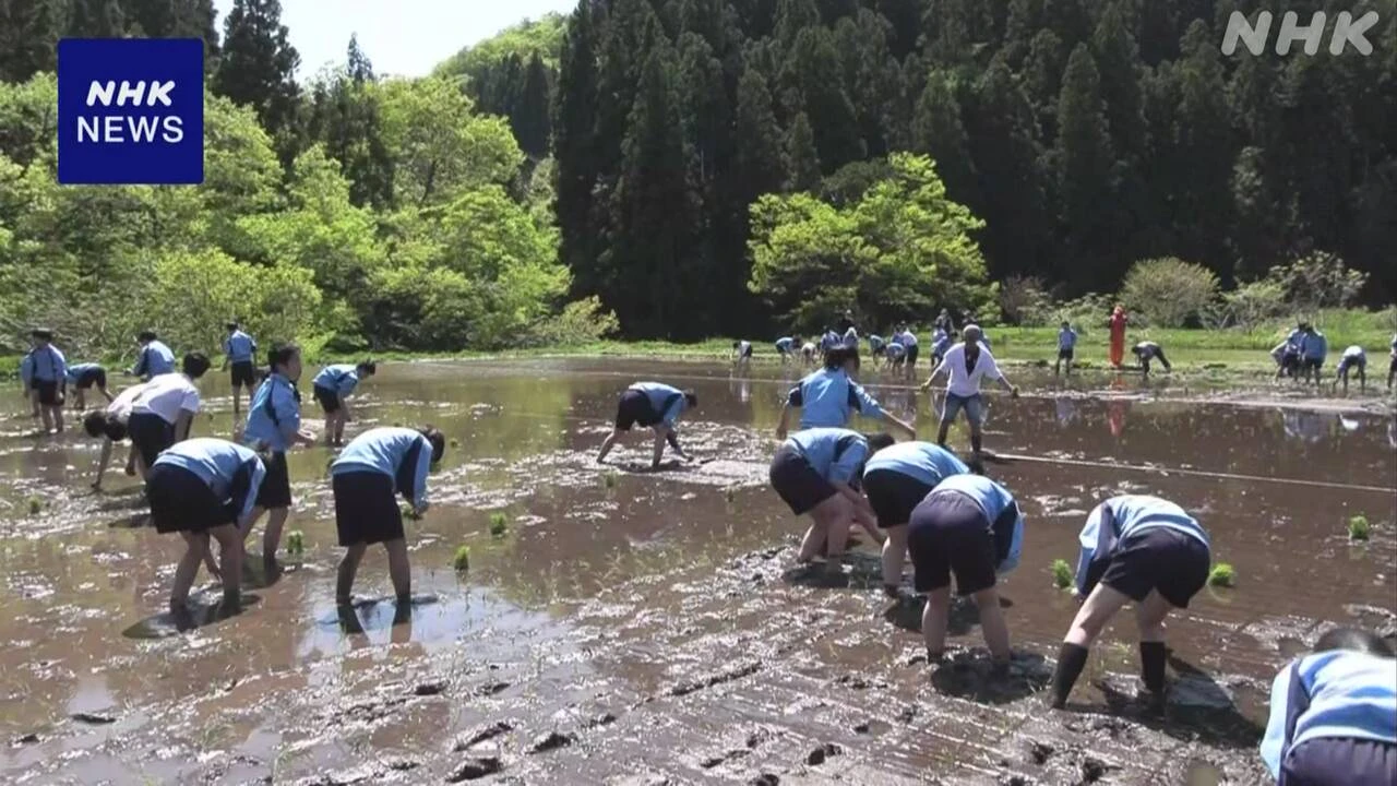 石川 能登地方に修学旅行 地震以降初受け入れ 田植えなど体験