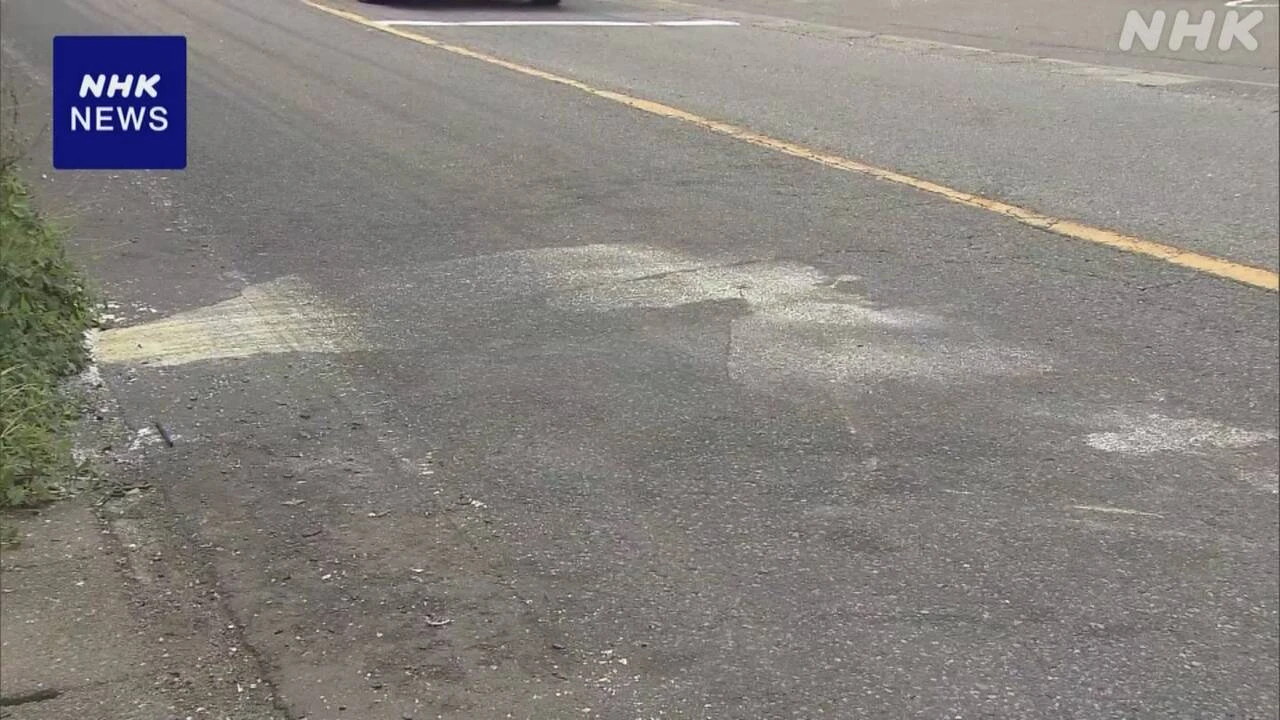 乗用車がパトカーに衝突 男が車乗り捨て逃走 行方捜査 相模原