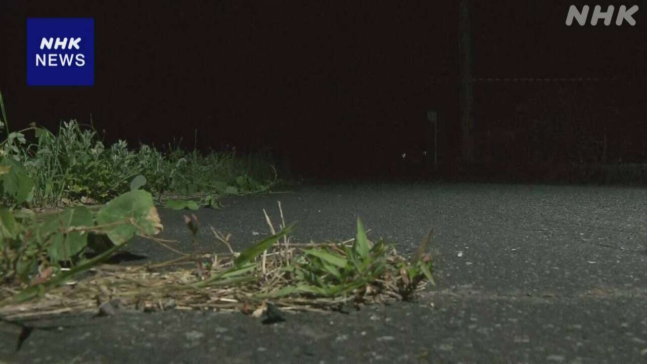 鳥取 道路で倒れていた90代の女性が死亡 熱中症か