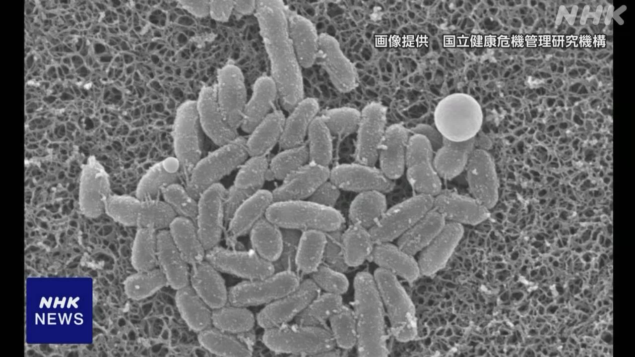 百日せき 全国で乳児4人死亡 “ワクチン接種 家庭での対策を”