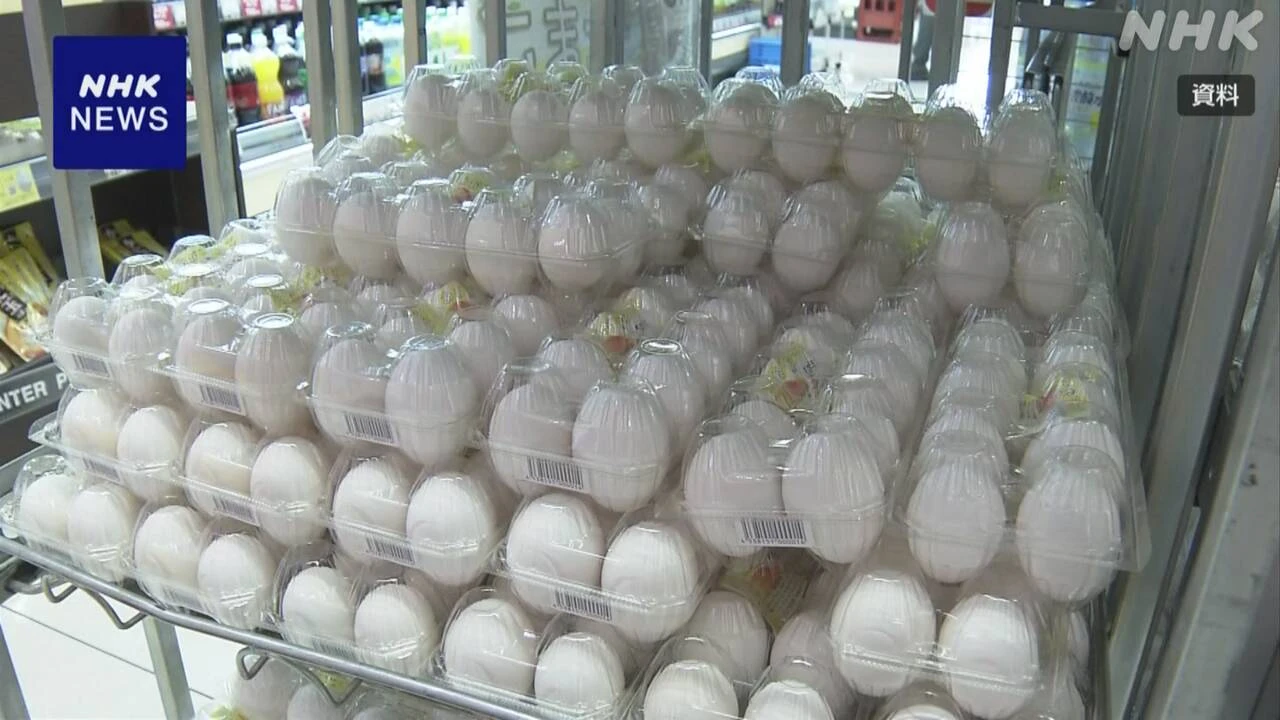 6月 卵の平均卸売価格 東京地区で340円 5か月連続300円超