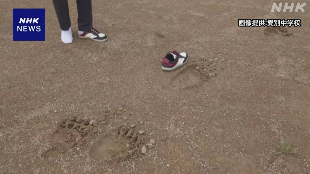 北海道 愛別町 中学校グラウンドにクマの足跡か 屋外授業中止