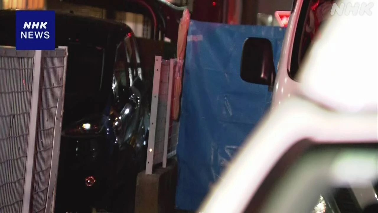 埼玉 10代の少女死亡 刃物で刺されたか 出頭の男から事情聴く