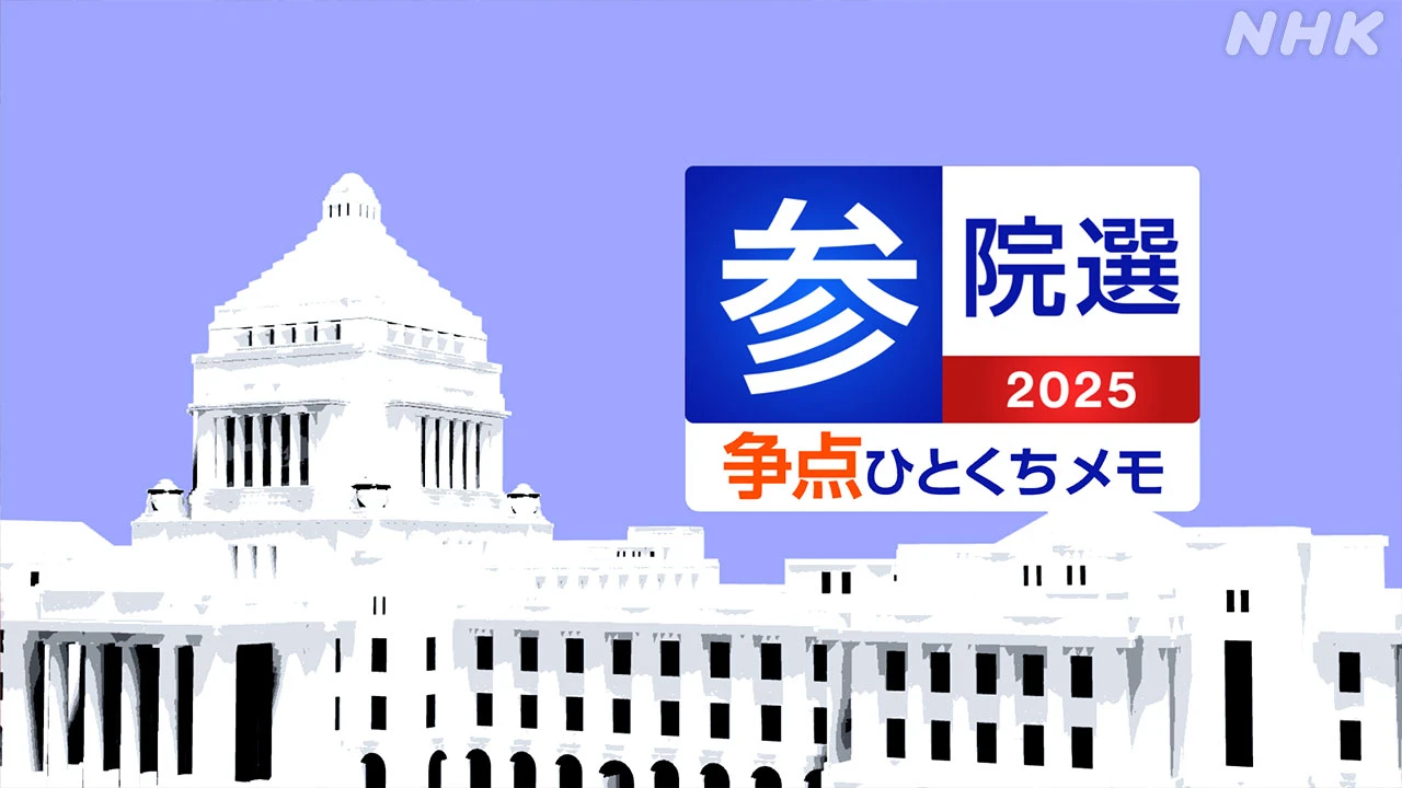 【詳しく知る参議院選挙】争点になるとみられる政策や課題は