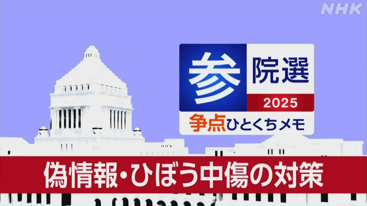 【詳しく知る参議院選挙の争点】SNSの偽情報対策