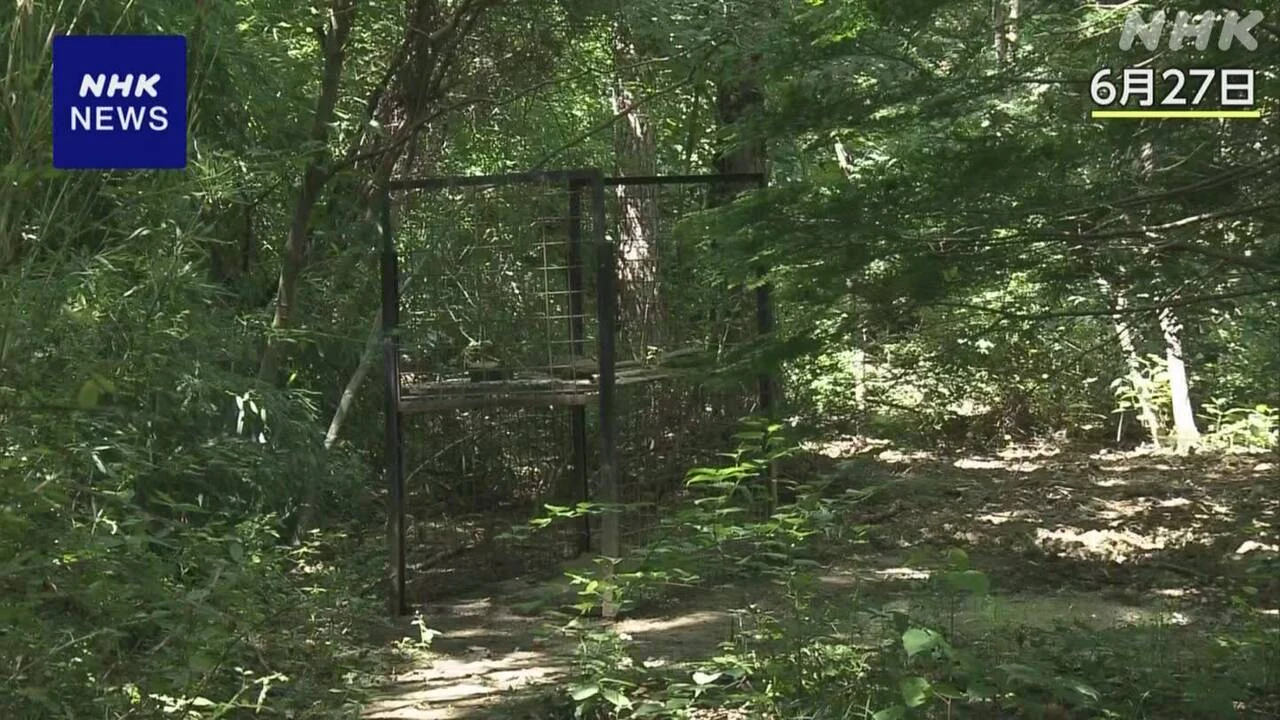 徳島 山中死亡の男性2人 太ももなどに傷 イノシシに襲われたか