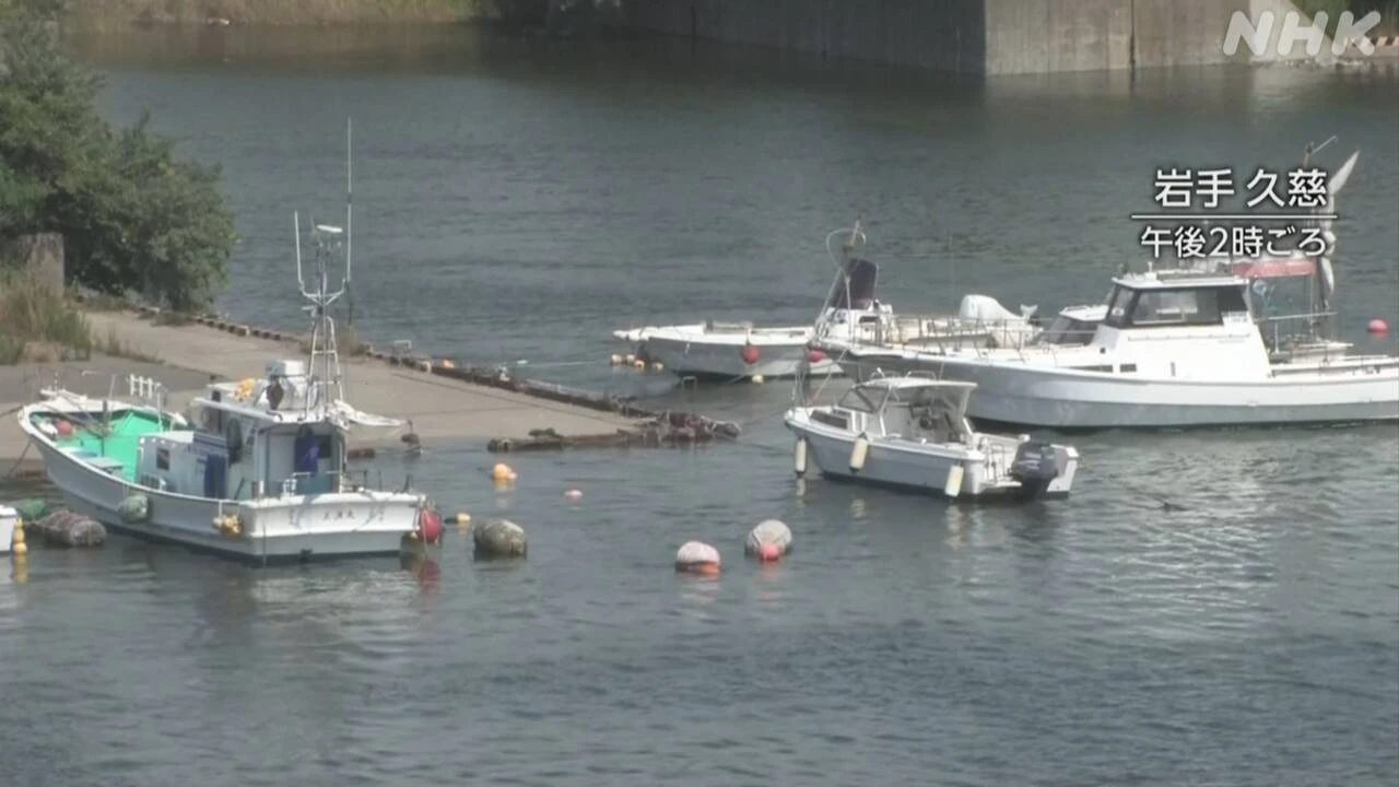 【映像】岩手 久慈港で1m30cmの津波観測