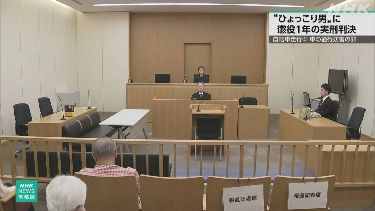 「ひょっこり男」に懲役1年の実刑判決 車の通行妨害した罪