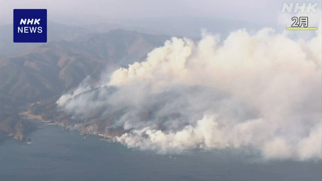 岩手 大船渡 山林火災発生4か月 私有林多く森林復旧作業に課題
