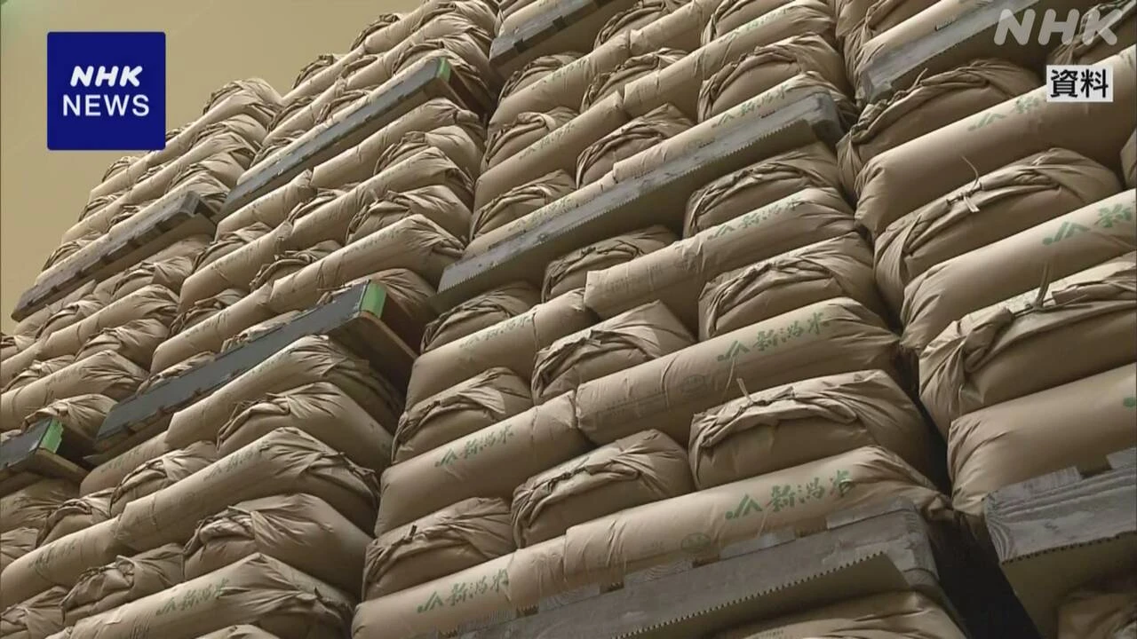 備蓄米買い戻す期限 「原則5年以内」に延長の方針