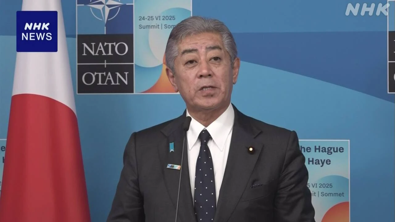 岩屋外相 NATO事務総長と会談 防衛産業協力など緊密連携を確認
