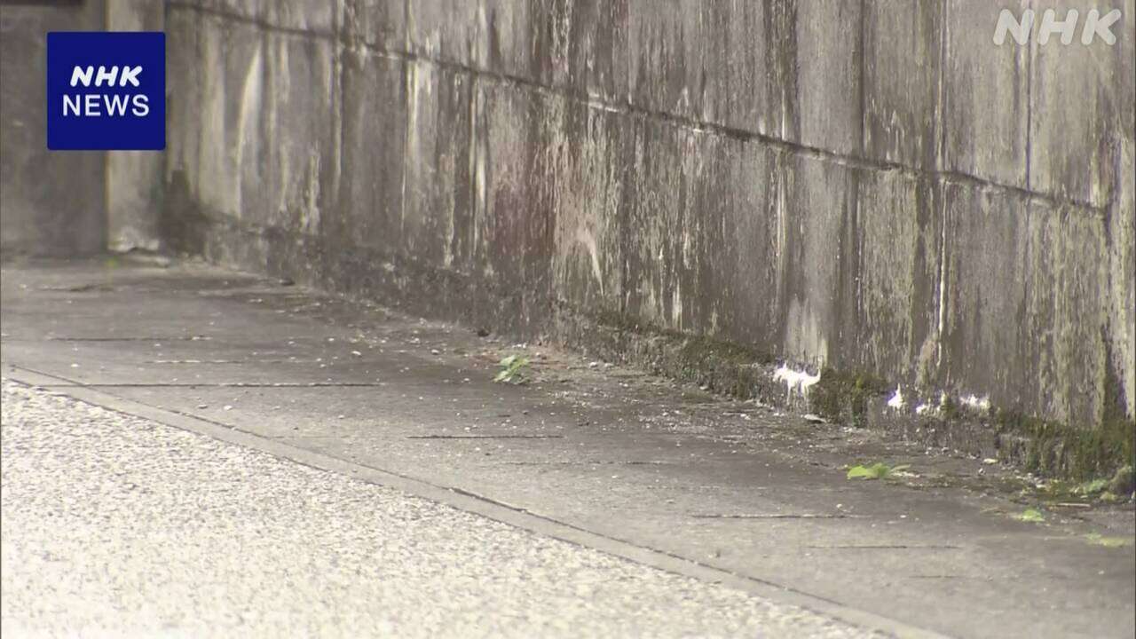 沖縄 住宅地で赤ちゃんの遺体見つかる 死体遺棄事件として捜査