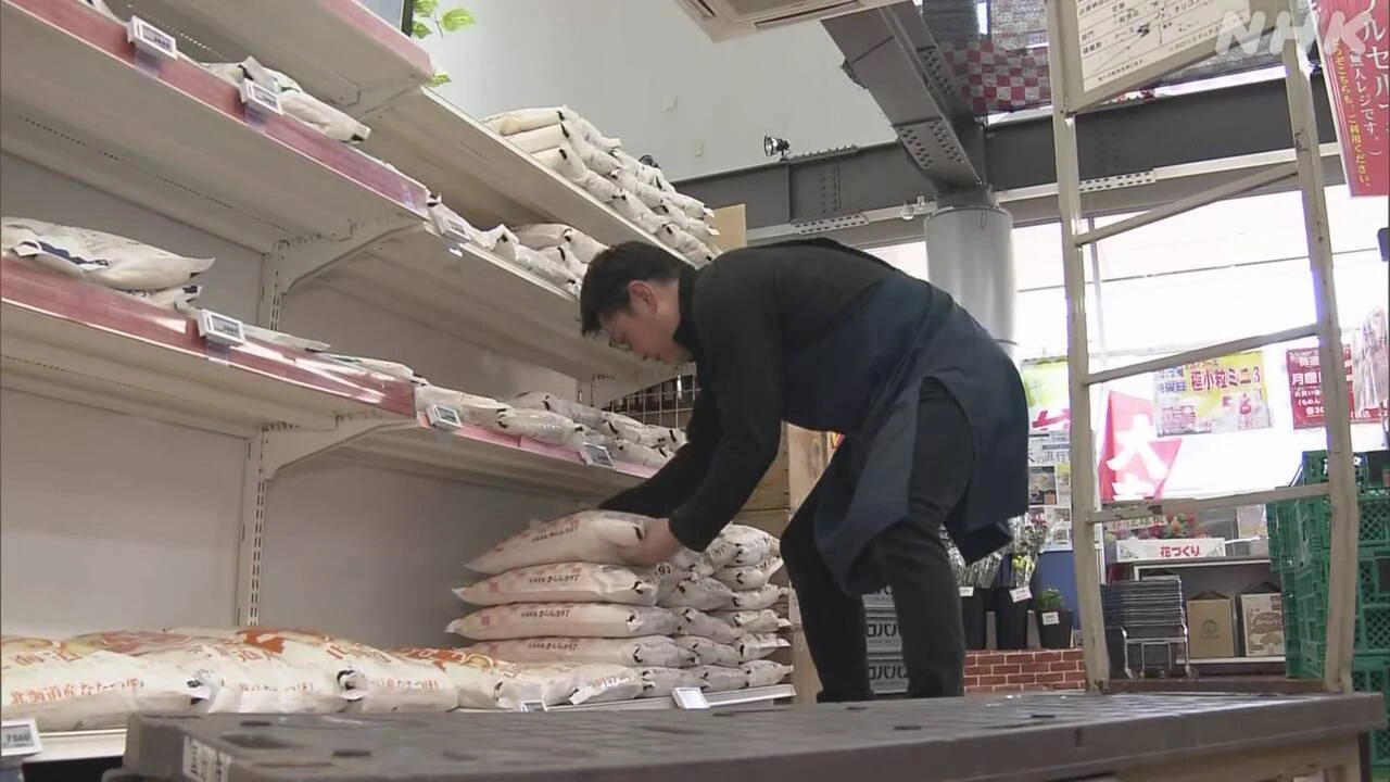 随意契約の備蓄米 きょうから引き渡し 米販売店などへ説明会も