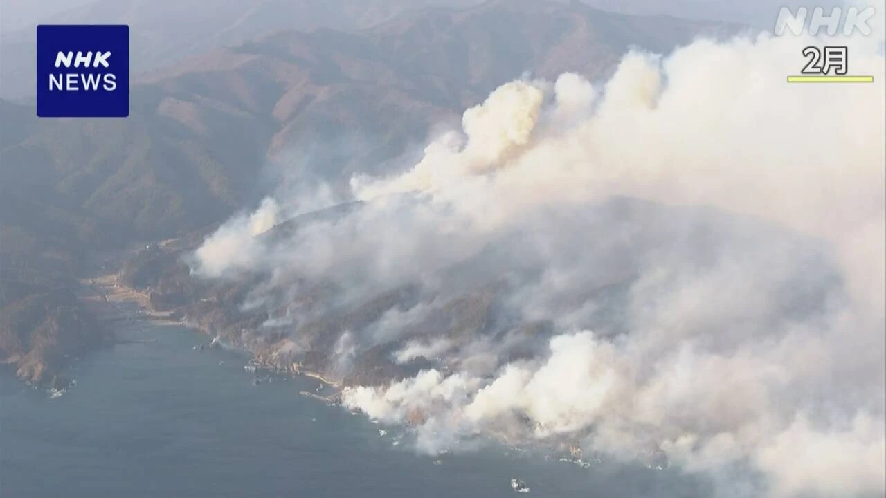 大船渡山林火災で調査報告 “火災原因の特定には至らず”