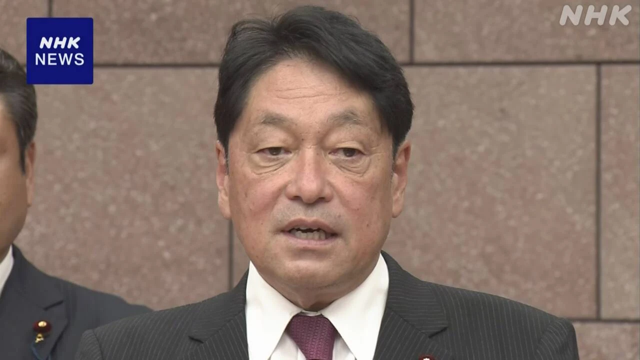 自民 小野寺政調会長 “消費税引き下げには時間 別の施策も”