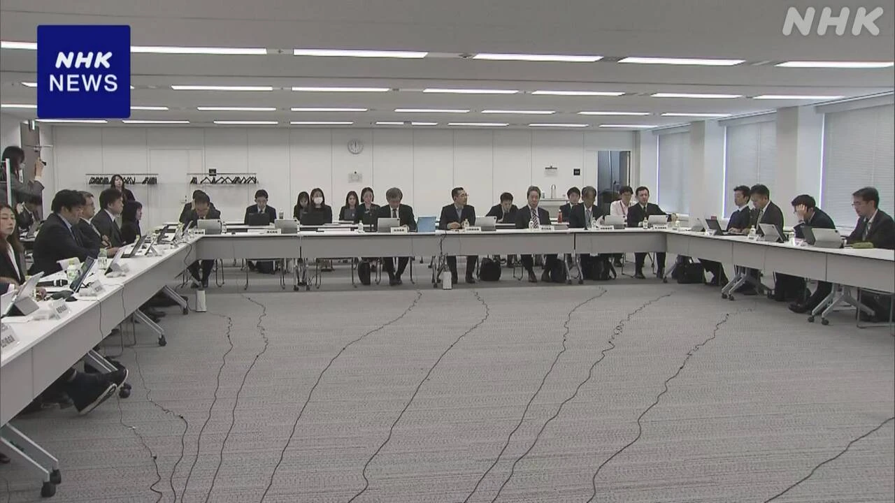 出産費用の無償化 政府検討会で大筋了承 範囲や方策など検討へ