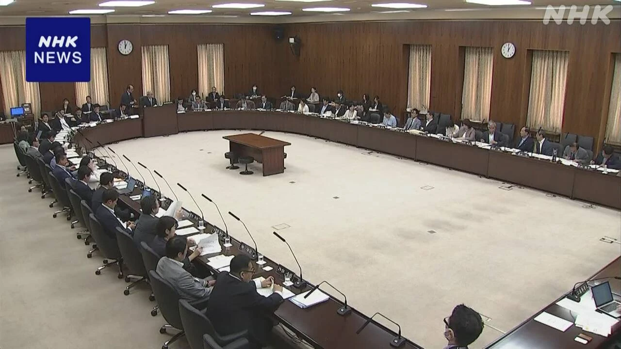 参院憲法審査会 SNSの偽情報対策などで参考人質疑