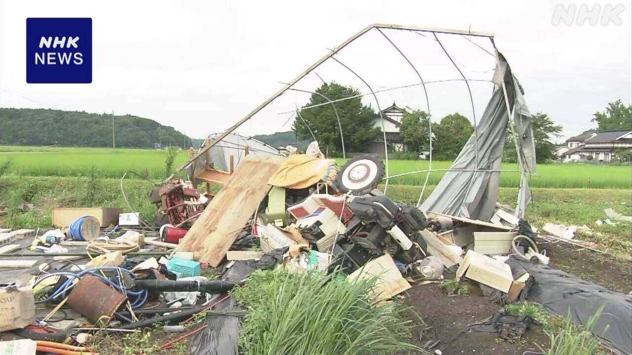 広島 三次 農業用ハウス壊れる被害 突風発生か 気象台が調査