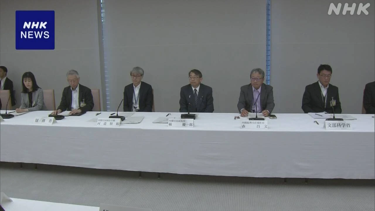 政府 TICAD＝アフリカ開発会議に向け準備会合 来月横浜で開催