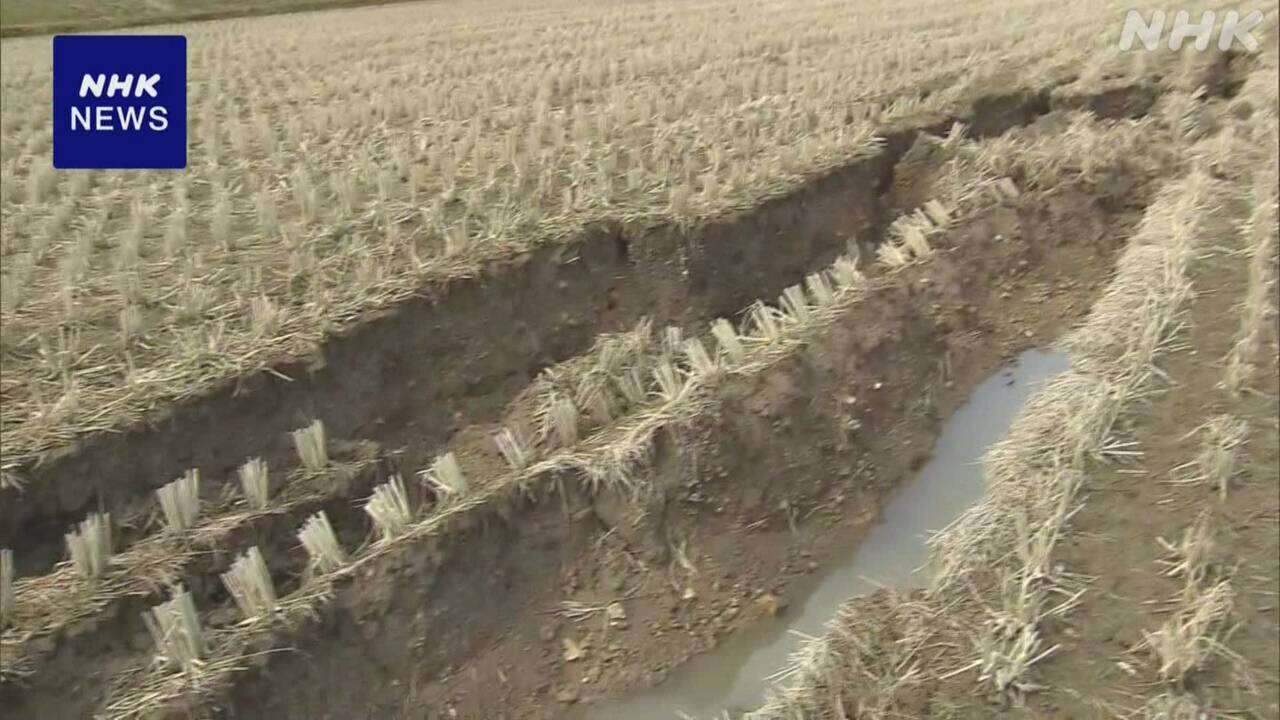 石川 奥能登地域 コメの作付面積 去年の6割程度の見通し