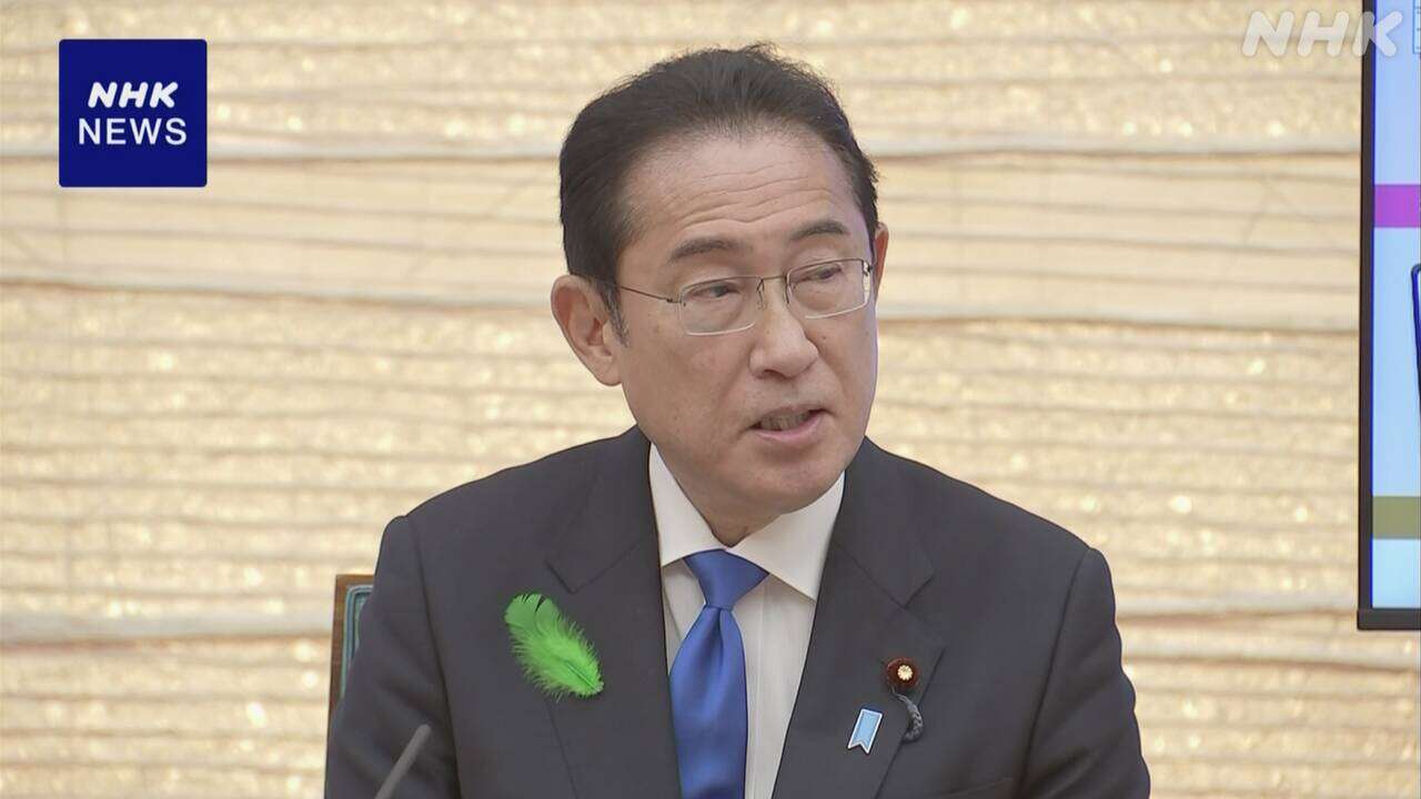 岸田首相 “SNS利用した投資詐欺 6月めどに対策取りまとめへ”