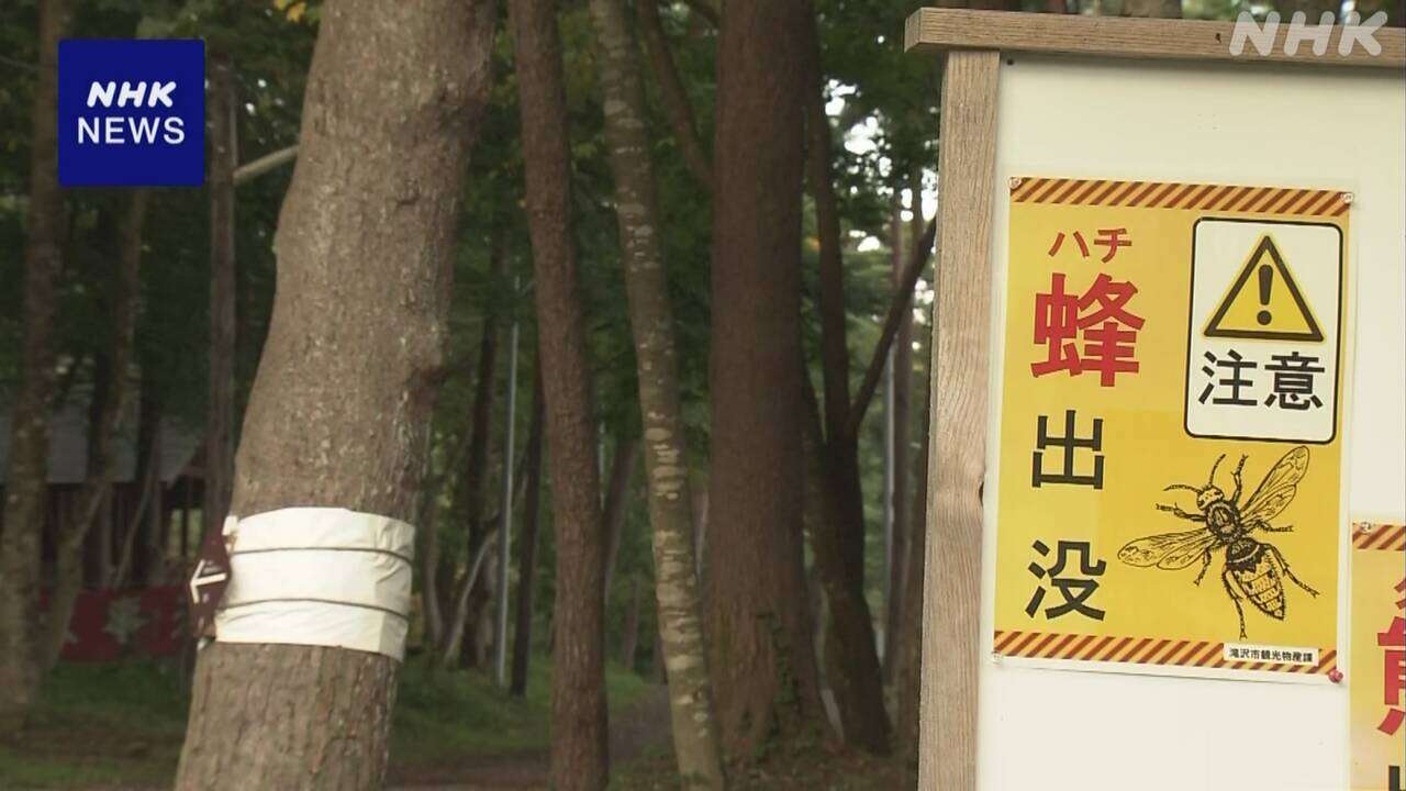 岩手 滝沢 登山の高校生と教員14人 蜂に刺され4人病院搬送