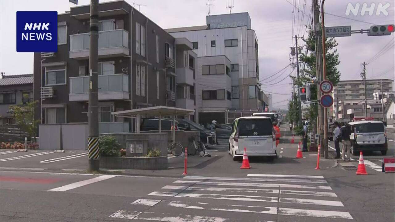 愛知 豊川 車が歩道に乗り上げ 自転車の女性はねられ意識不明