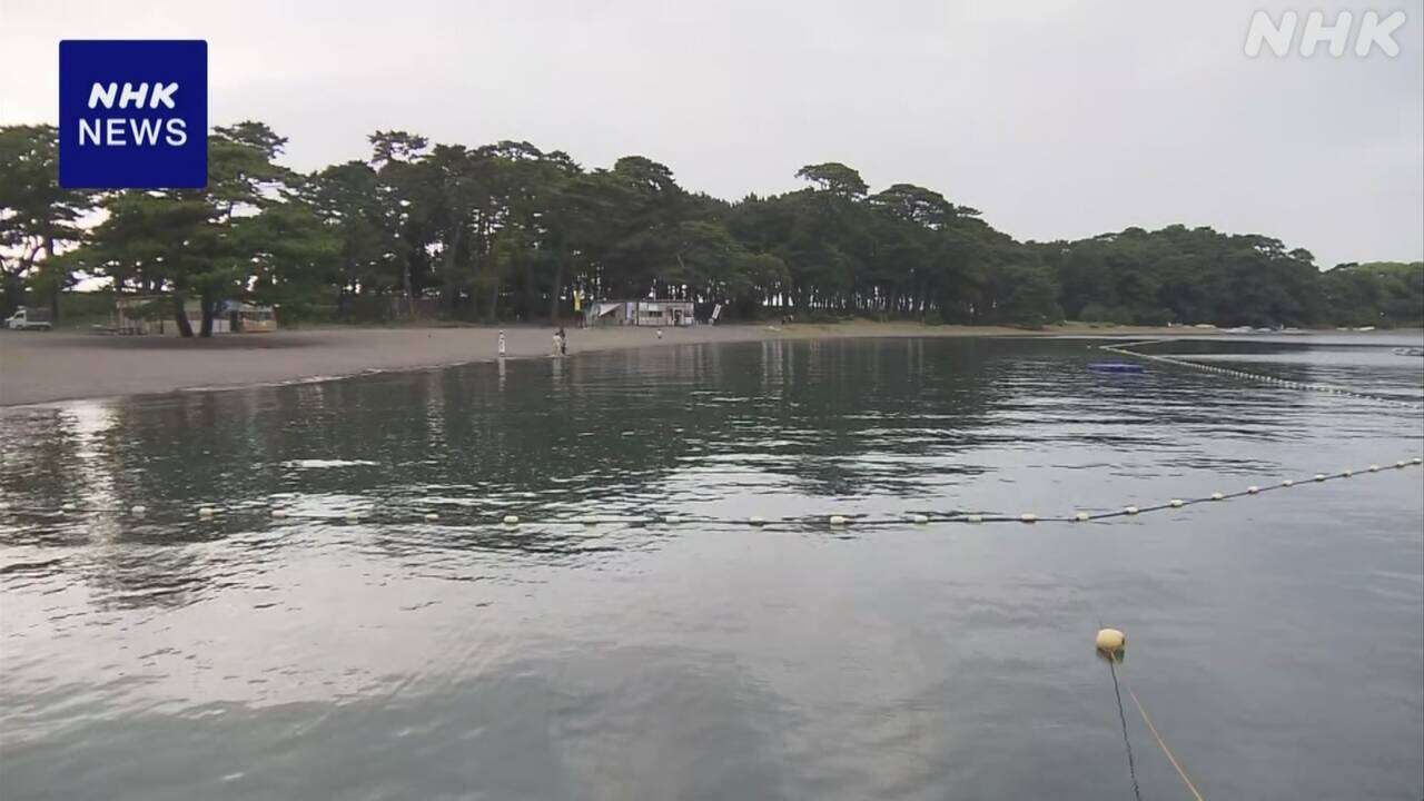 静岡 沼津の海水浴場 10代とみられる男性が溺れ意識不明