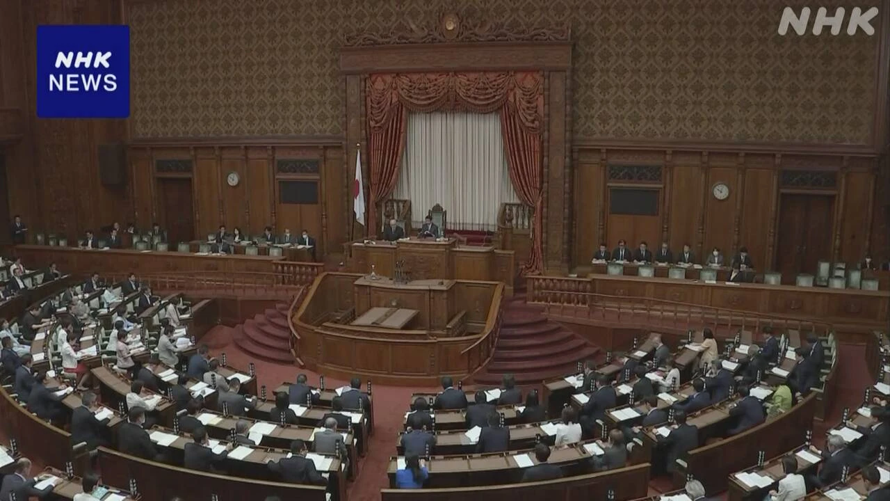 改正スポーツ基本法 参院本会議で可決・成立