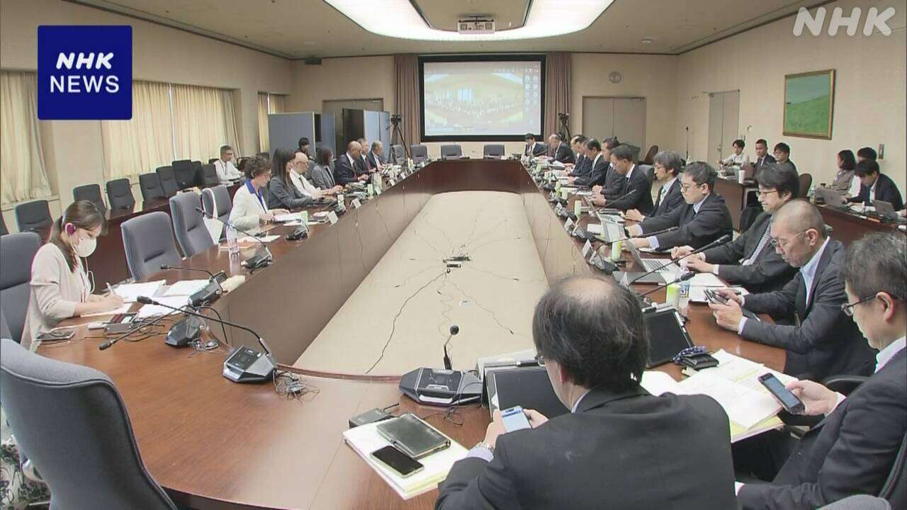 国のエネルギー基本計画改定に向けた審議会にIEA幹部出席