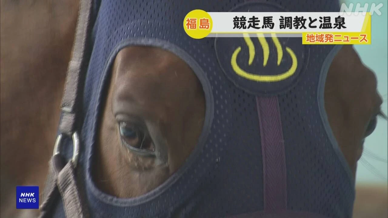 福島 いわき 競走馬のリハビリ施設で“プール開き”