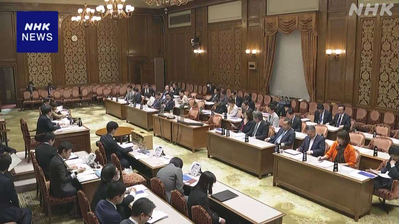 参院予算委 公聴会 外交やエネルギーなどで専門家が意見