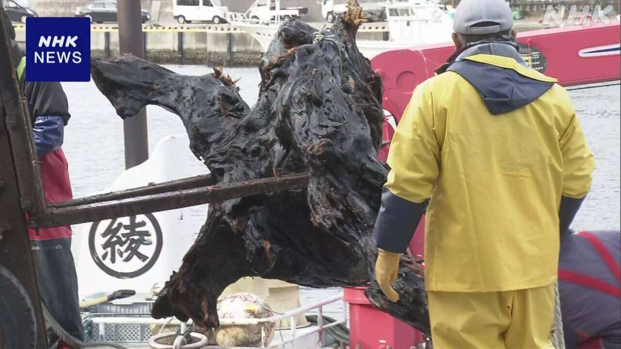 大船渡 山林火災 漁業者ら わかめ刈り取りに向け流木を撤去