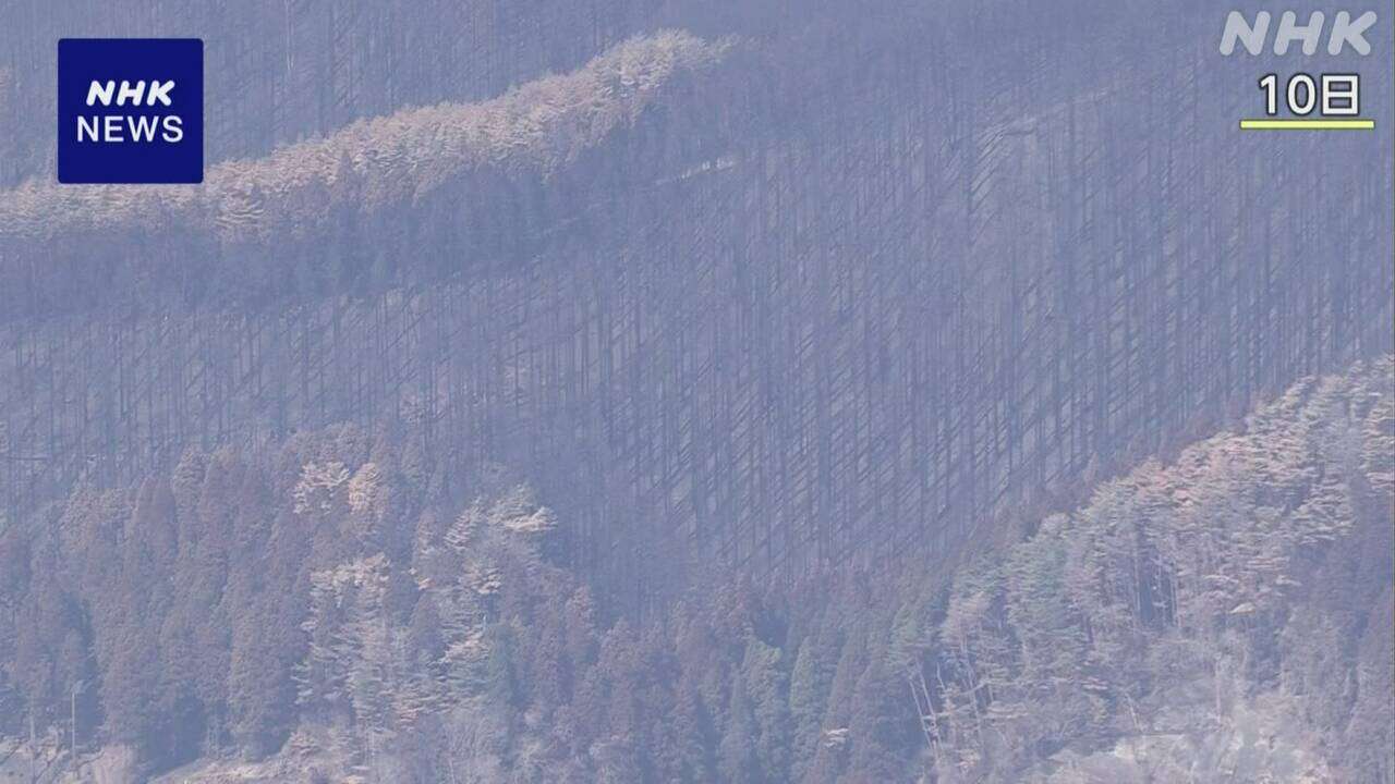 大船渡 山林火災 来週以降にもボランティア活動開始へ調整