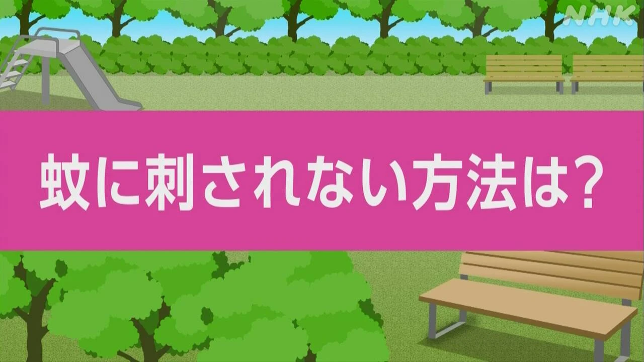 【動画解説】蚊に刺されない方法 ポイントは？