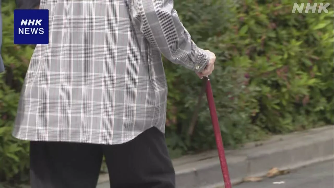 高齢社会白書 60歳以上が抱く経済面の不安「物価の上昇」最多