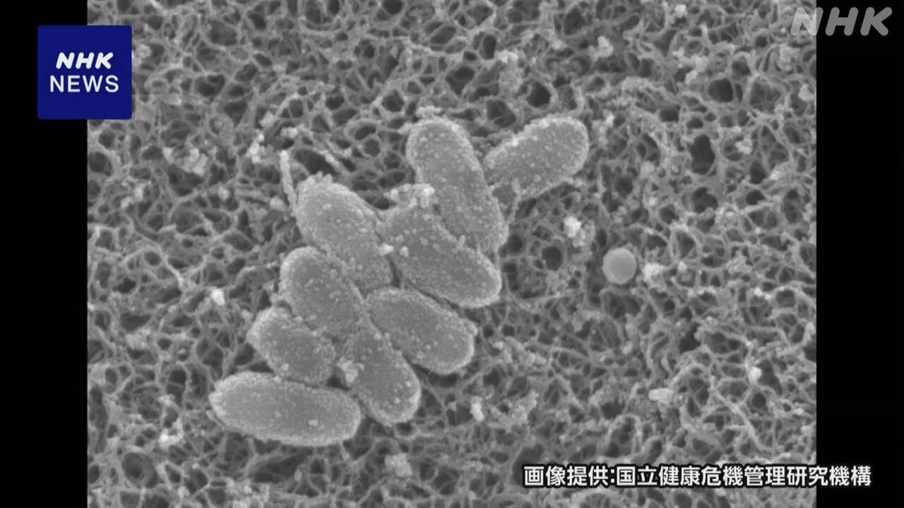 百日せき患者数 3月30日までの1週間で578人 過去最多に